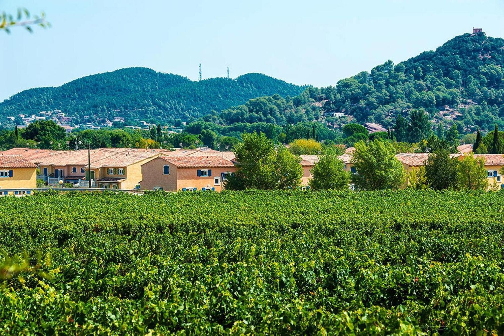 Terraced House With Air Conditioning In The Residence Le Clos Des Oliviers Vidauban Exteriör bild